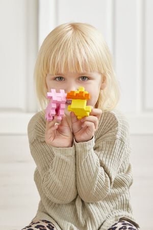 Plus-Plus BIG Activity -