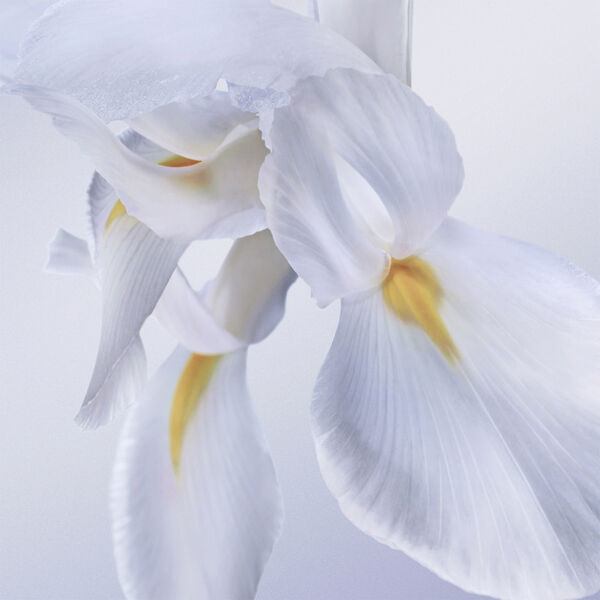 La vie est belle ROSE EXTRAORDINAIRE Eau de Parfum