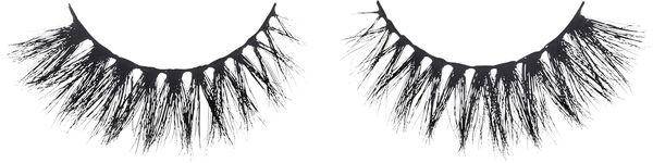 Red Carpet - Premium 3D Collection