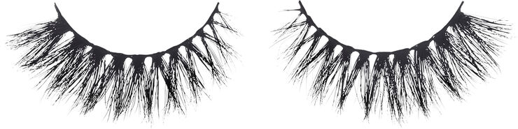 Red Carpet - Premium 3D Collection