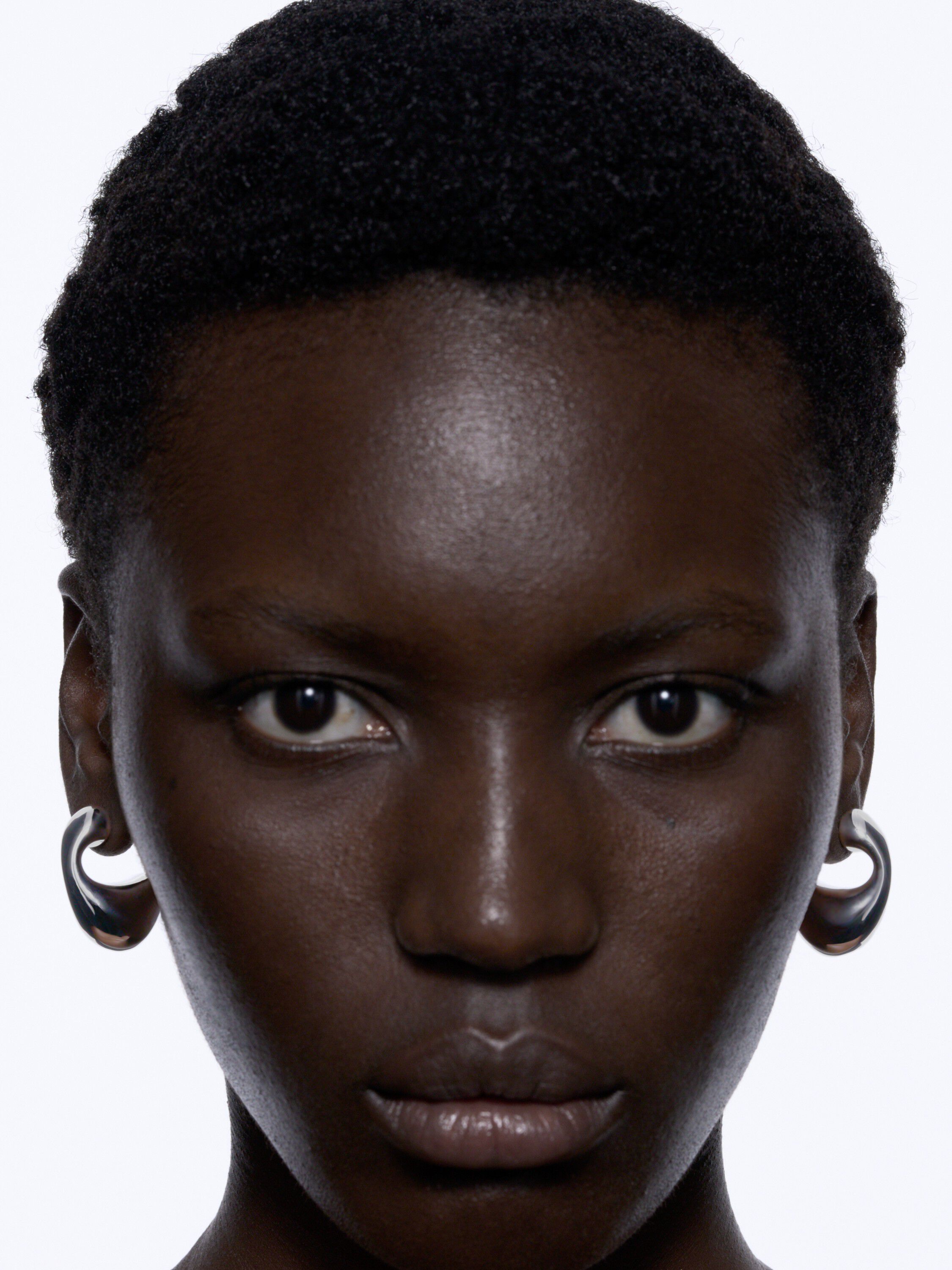 Dolphin Earring Large Silver