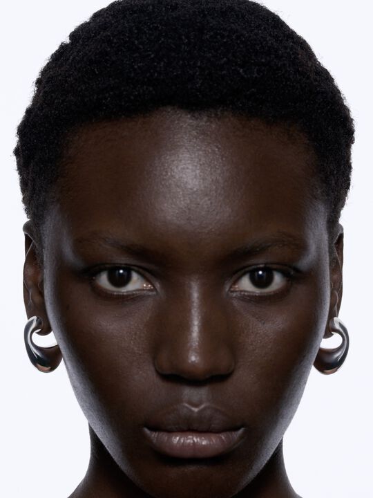 Dolphin Earring Large Silver