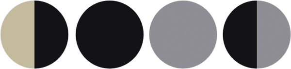 4-pack Basic Essentials Elastics