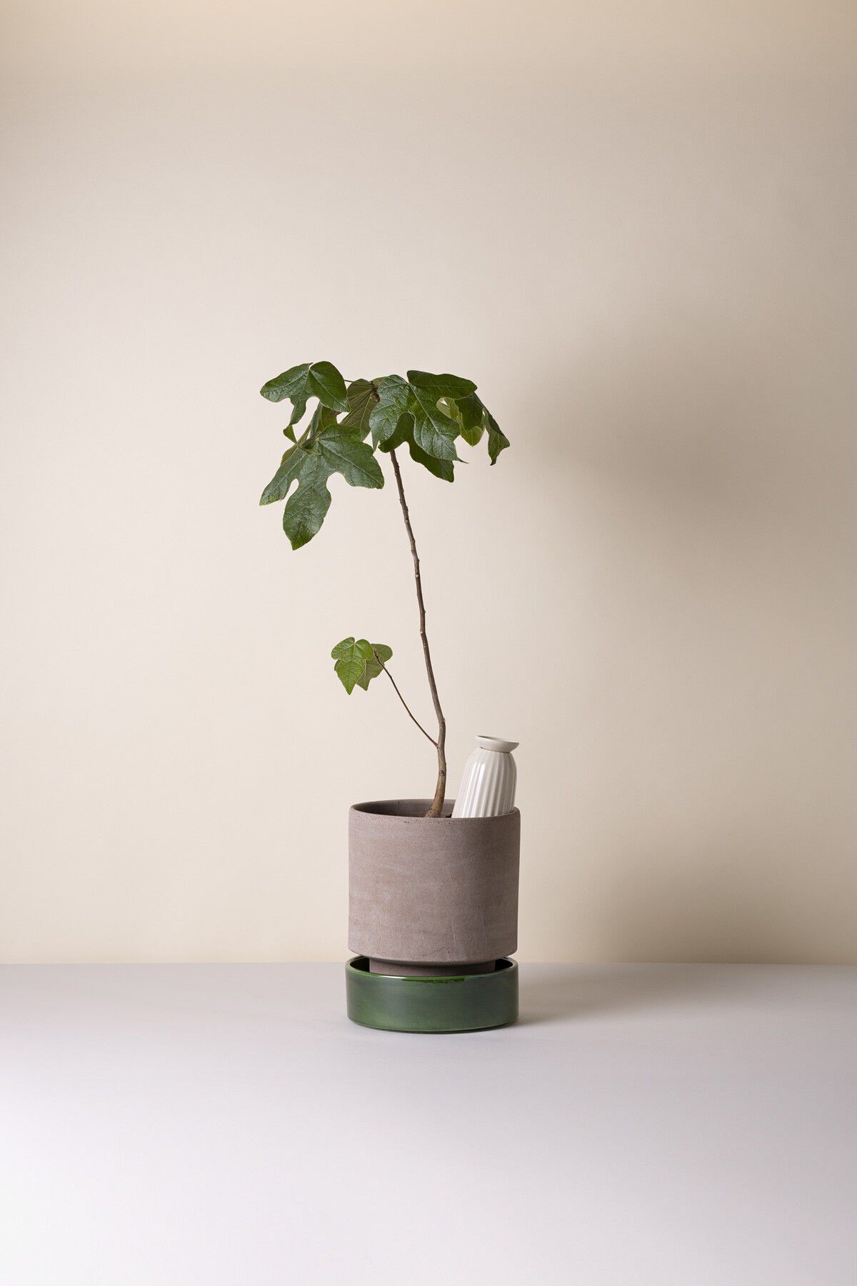 Hoff RAW Grey/GLAZED Emerald Green, &Oslash; 18 cm, Set