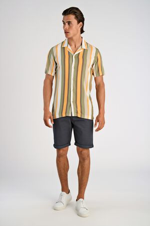 Bold stripe viscose shirt S/S