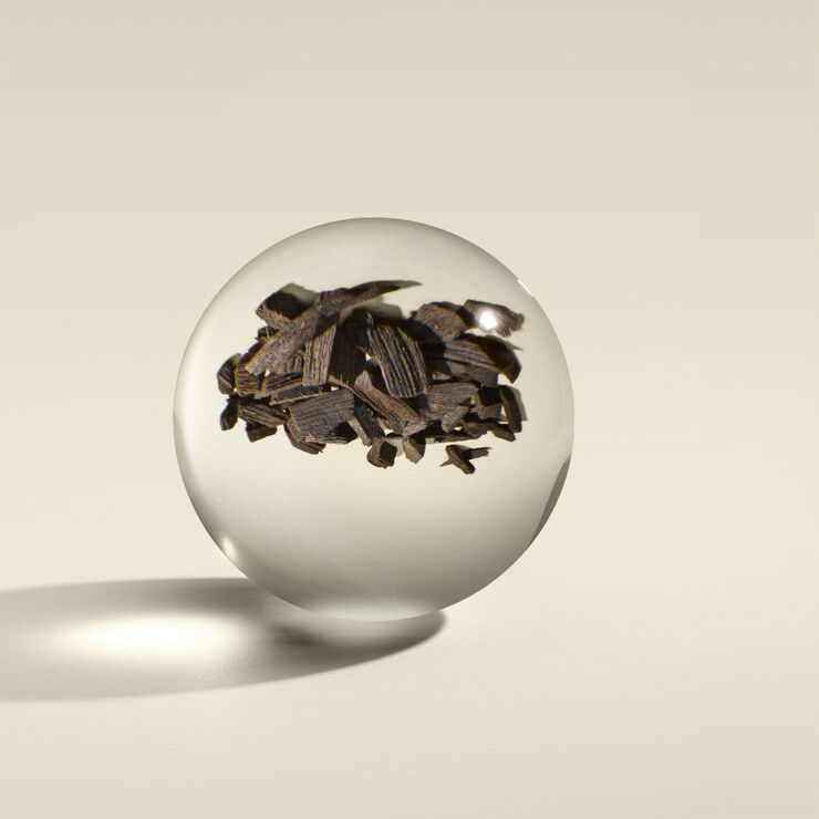 Mesmerising Oudh Accord & Gold Bath & Shower Gel