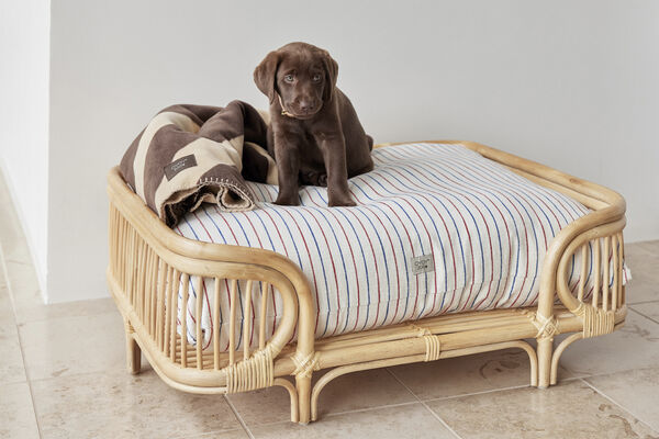 Kaya Hundetæppe - Stor