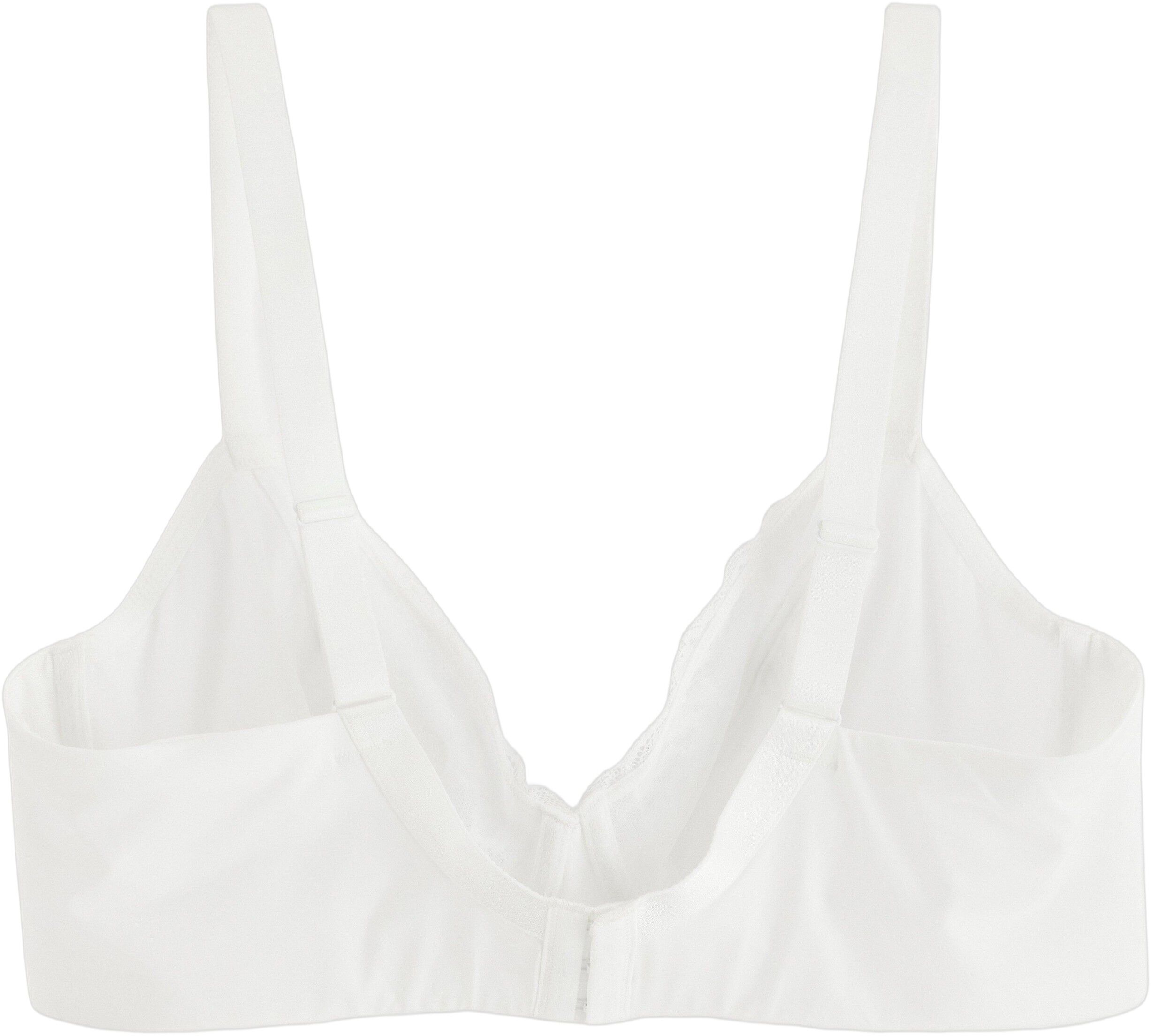 Aster BH uten vattering