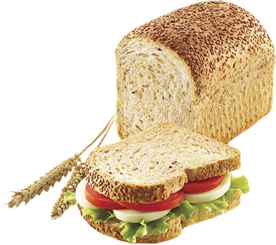 SANDWICHBR&Oslash;DFORM 150X100