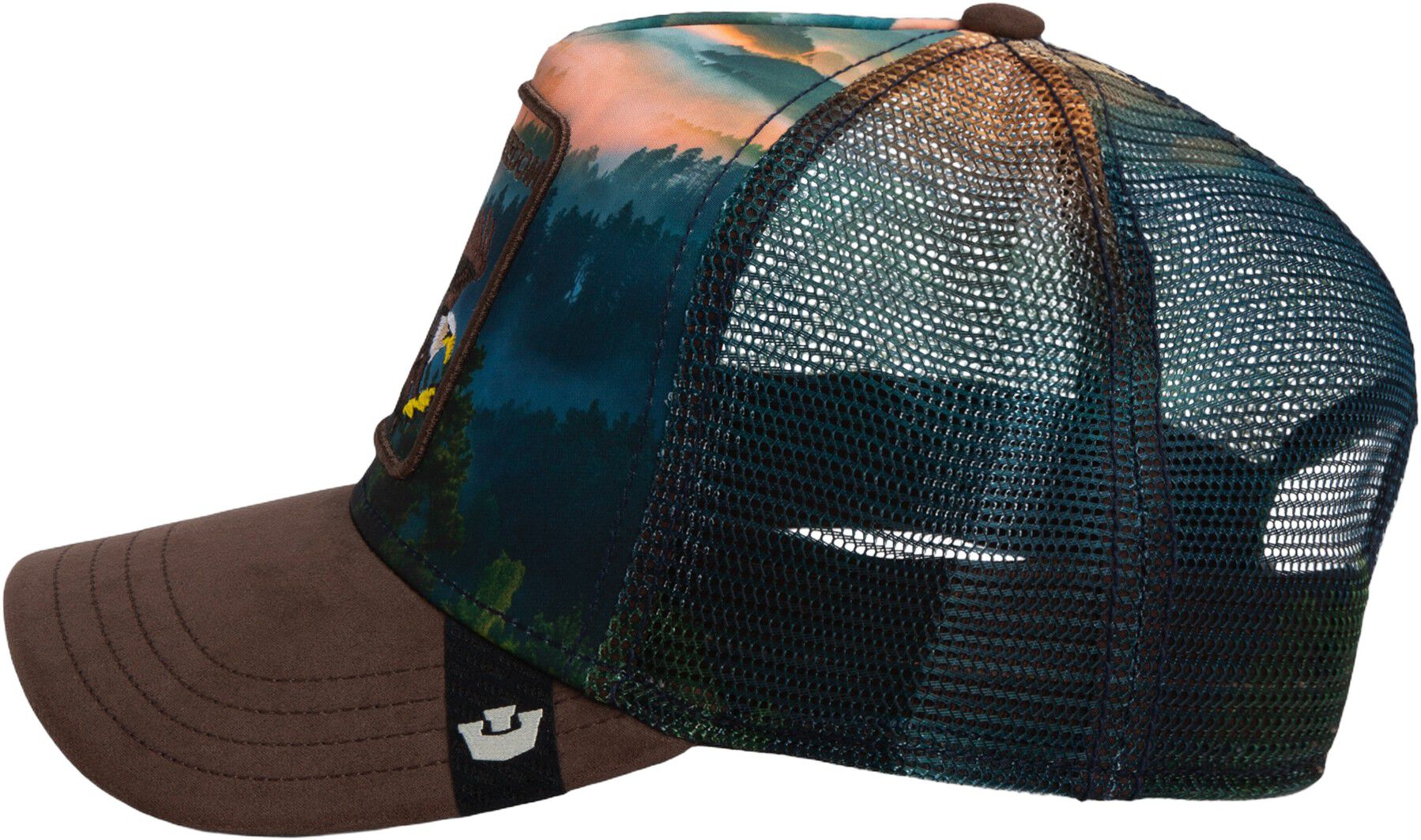 Eagle in the element