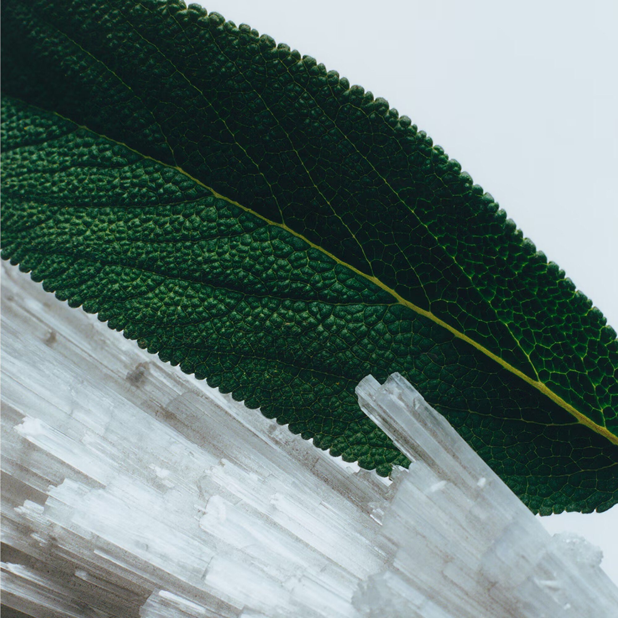 Wood Sage & Sea Salt Cologne Travel Spray