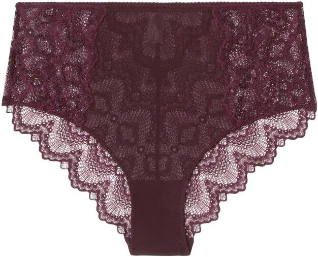 Lace Mesh Highwaist Briefs