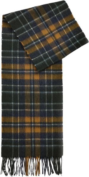 Barbour New Check Scar