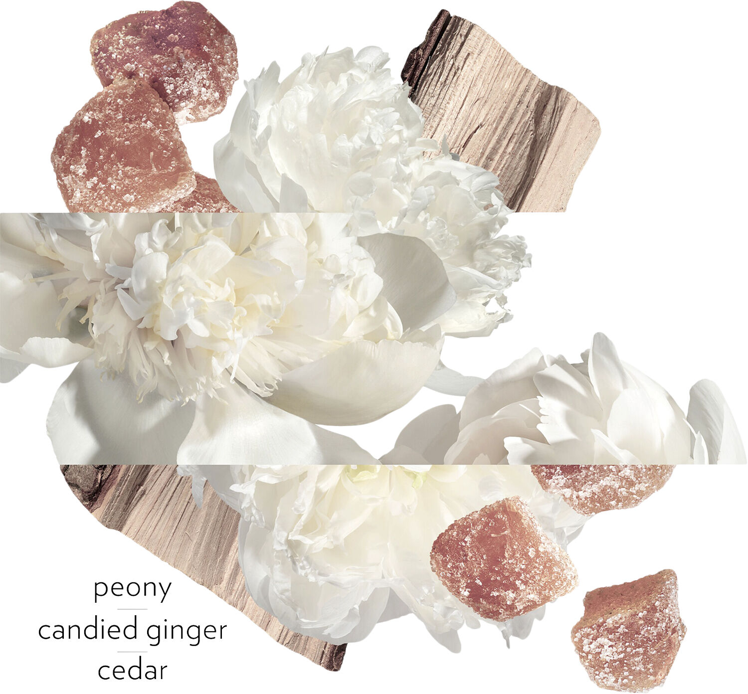 TWILLY D'HERM&Egrave;S EAU GINGER EAU DE PARFUM