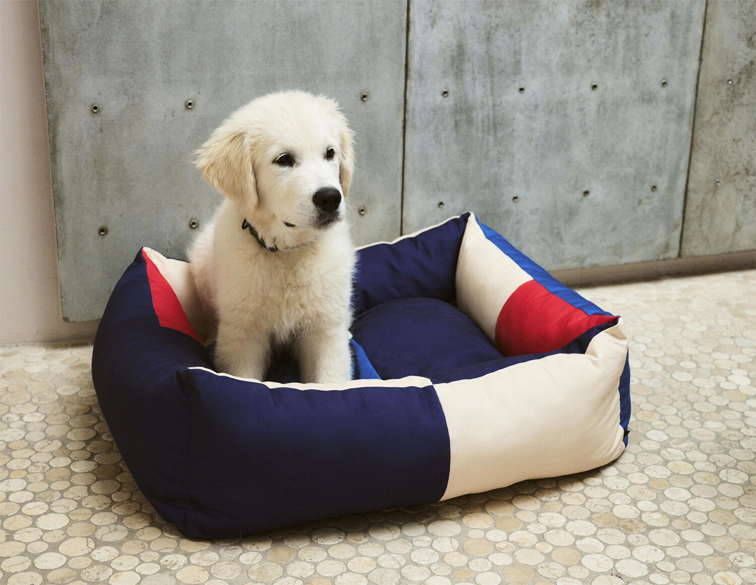 Hund dog bed store