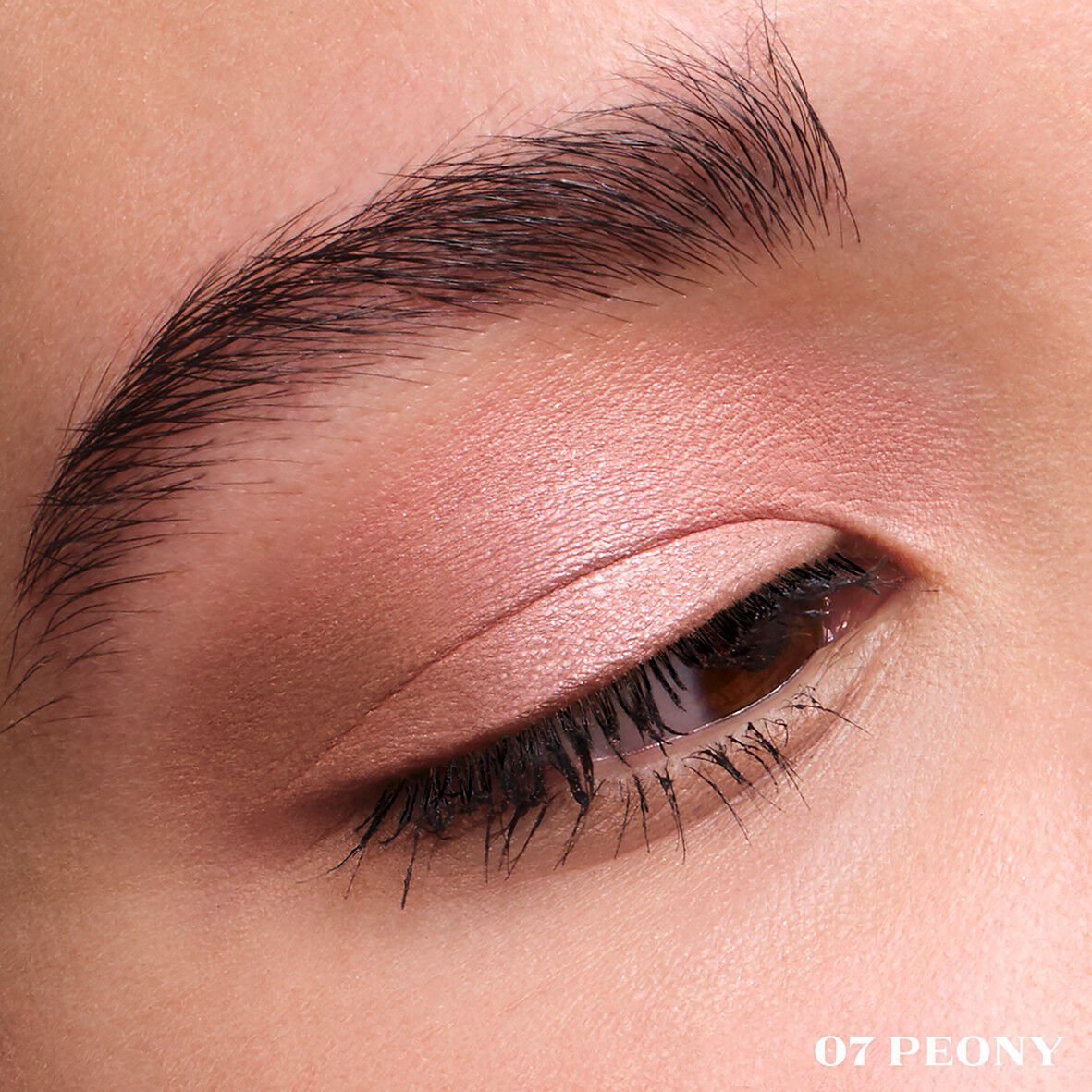 Dimensions Holo Nude Eyeshadow Palette