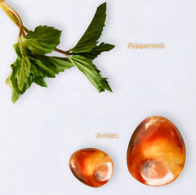 Oceanic Amber Eau De Toilette