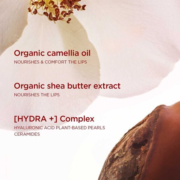 Joli Rouge Velvet Lipstick