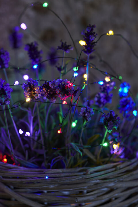 Knirke, 40L, Multi/Grøn lyskæde