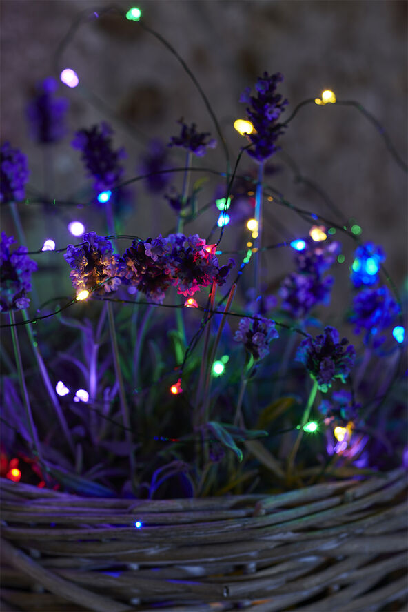 Knirke, 40L, Multi/Grøn lyskæde