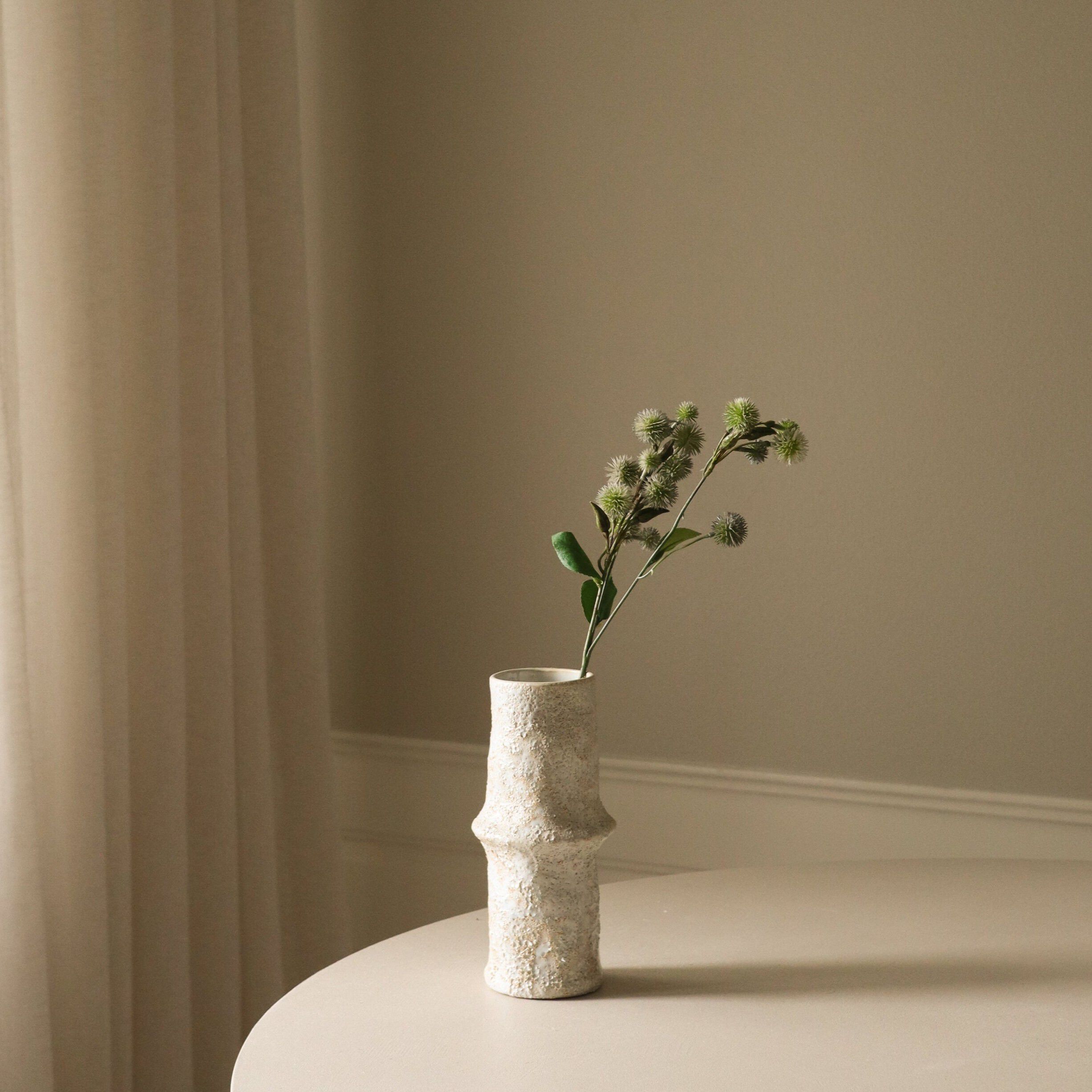 Echinops Ritro Thistle Ball