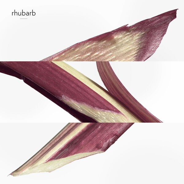 Eau De Rhubarbe Écarlate Eau de Cologne 200 ml