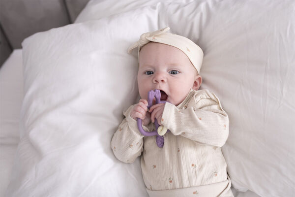 Matchstick Monkey Bidedyr