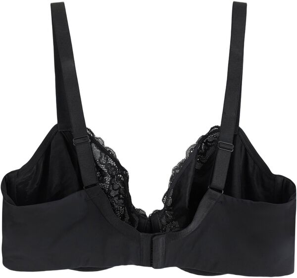 Aster BH uten vattering