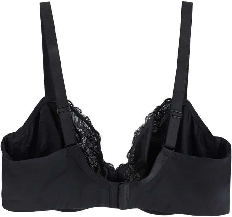 Aster BH uten vattering