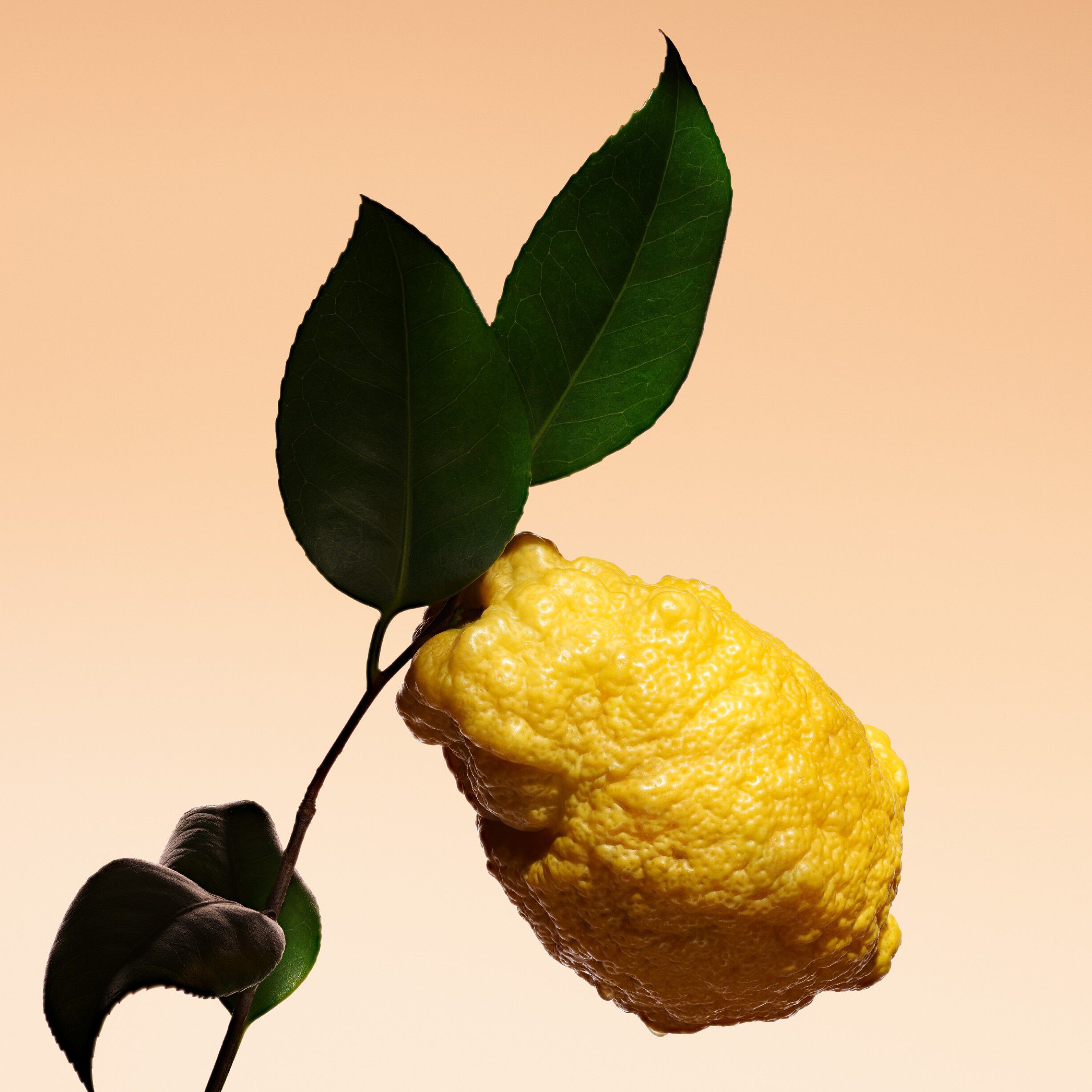 Armani/Priv&eacute; Orange M&eacute;diterran&eacute;e Eau de toilette 50ml