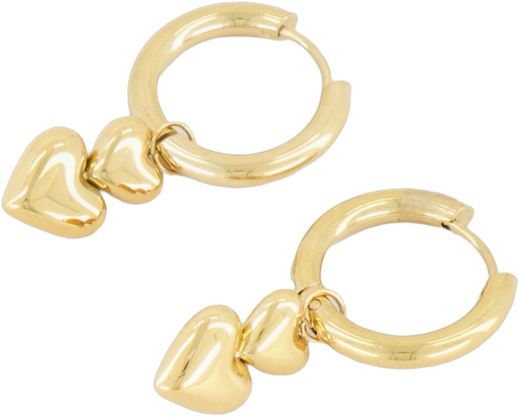 Double heart earrings