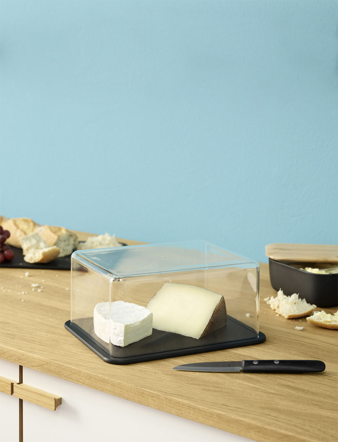 CONTAIN-IT cheese box black Practical storage for cheese and cold cuts