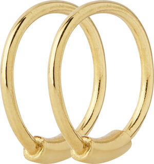 Basic Hoop