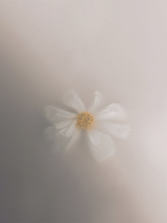 Olfacte Scented Candle, En Passant,