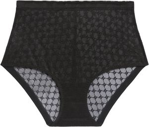PLUME Control brief