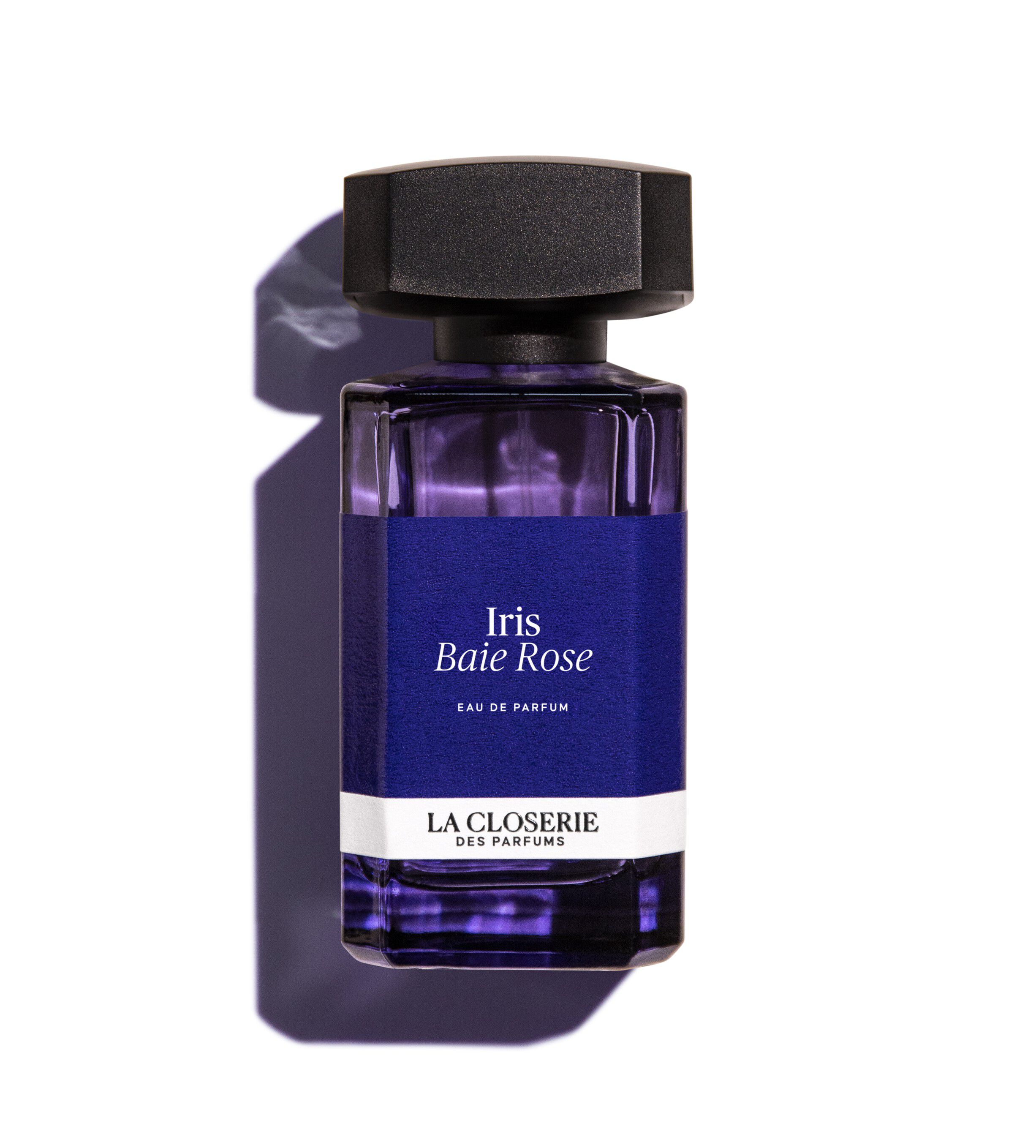 IRIS BAIE ROSE