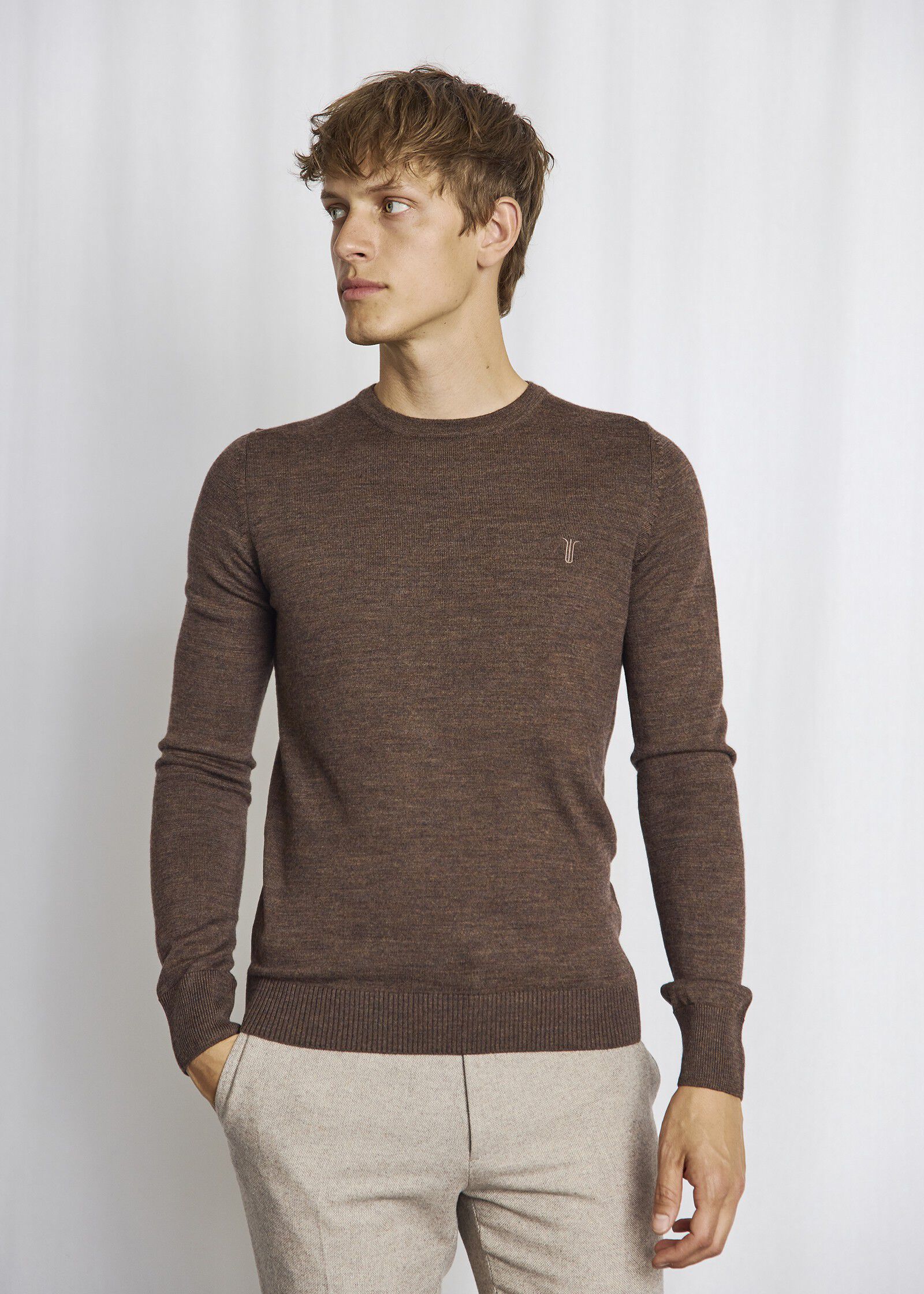 BS Jupiter Regular Fit Knitwear