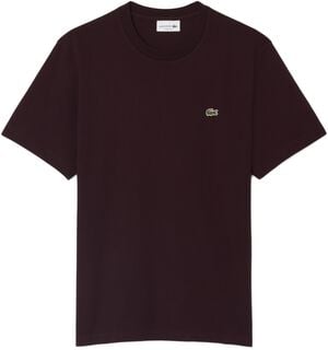 CREWNECK T-SHIRTS MALE ADULT KNIT