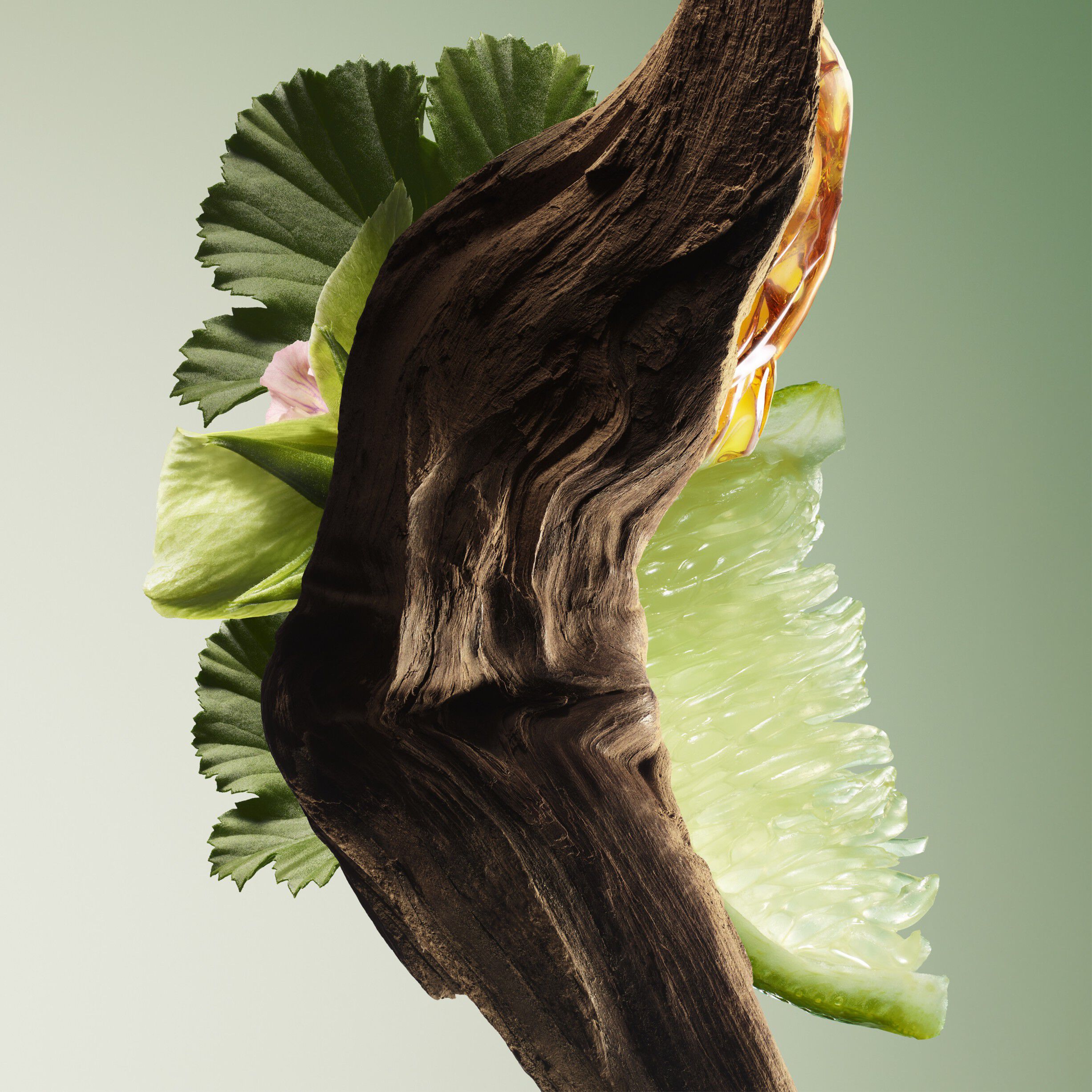 Prada Paradigme Eau de Parfum