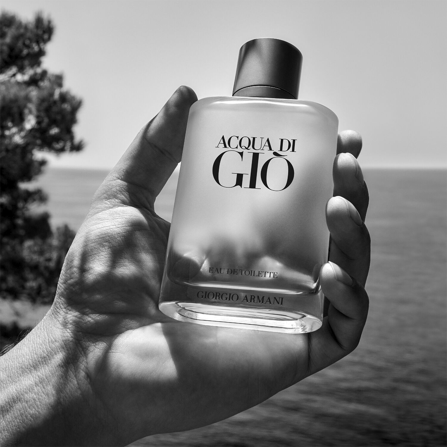 Acqua di Gi&ograve; Eau de Toilette
