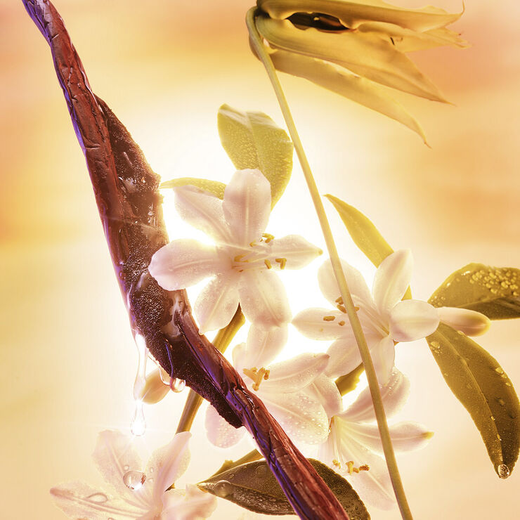 Joyphoria - Fragrance Collection of Emotions