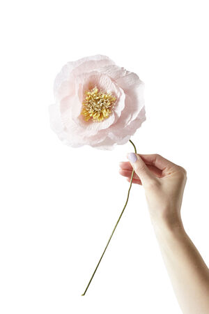 PAPER FLOWER, ICE POPPY, ROSE, 130440R