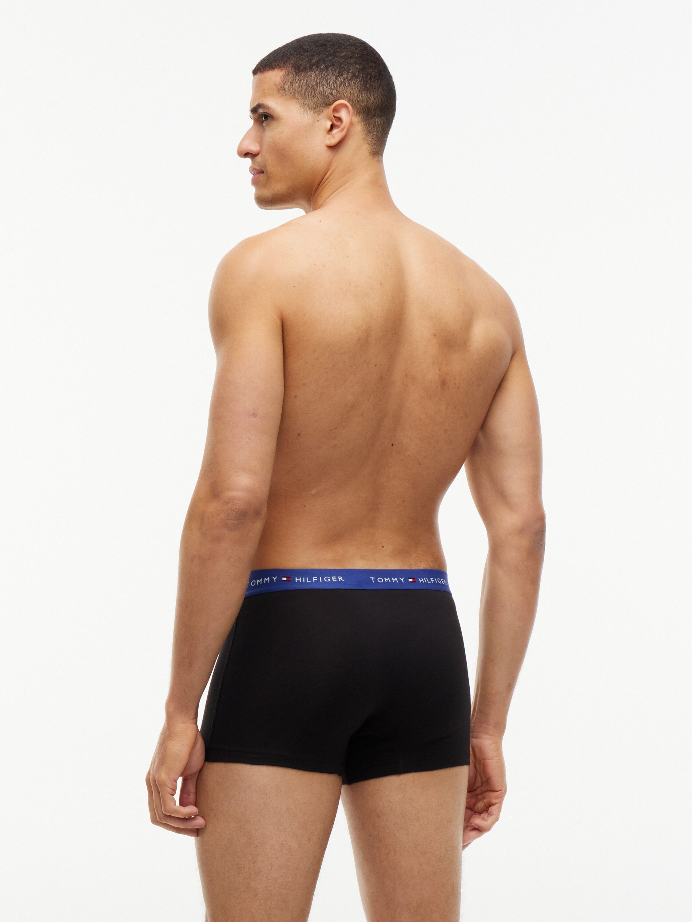 3P TRUNK WB
