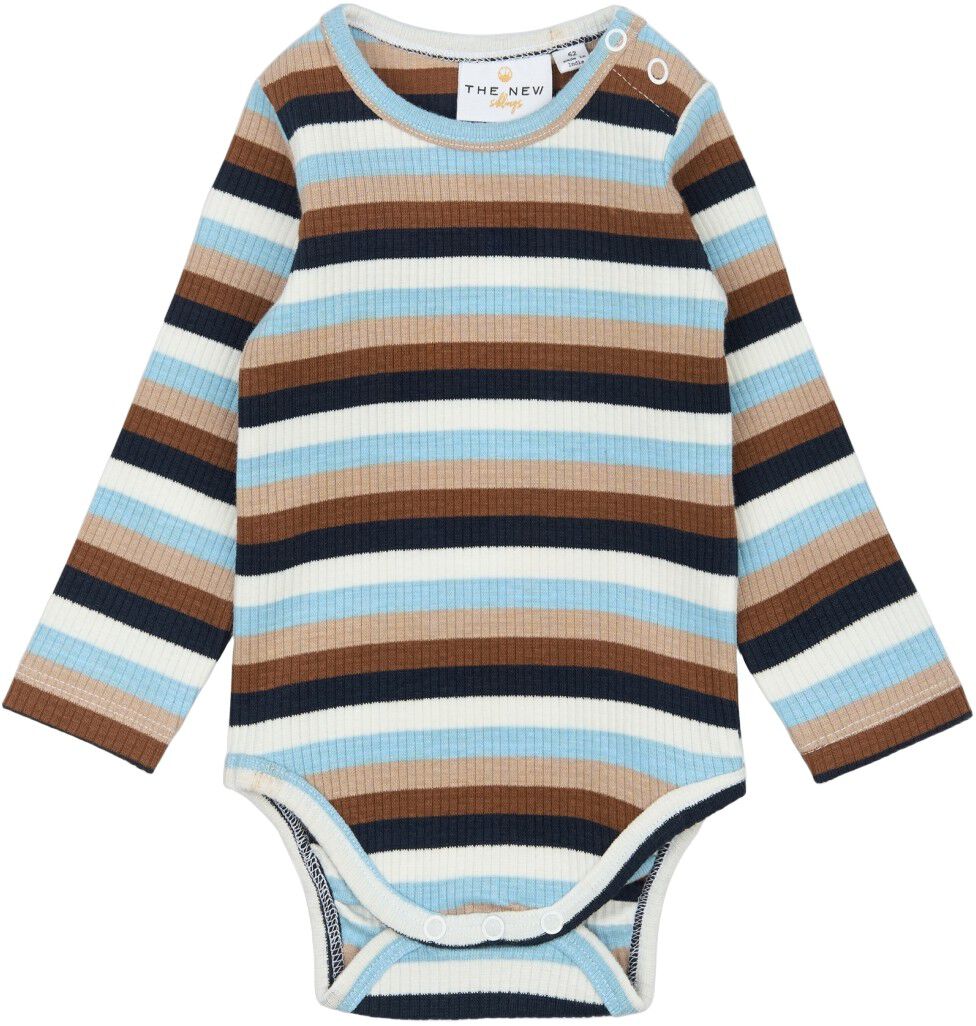 TNSBPark L_S Rib Body