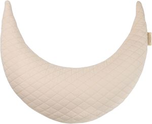 Ammepude