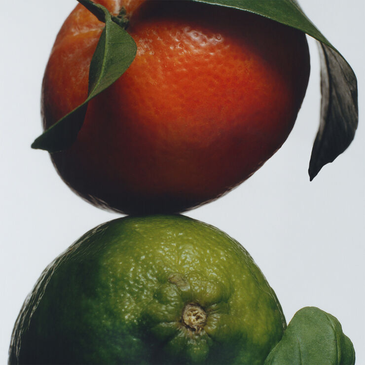 Lime Basil & Mandarin Body & Hand Wash