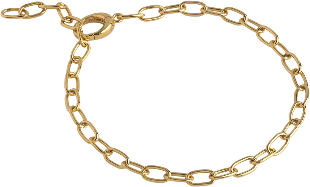 Bracelet, Medium Charm