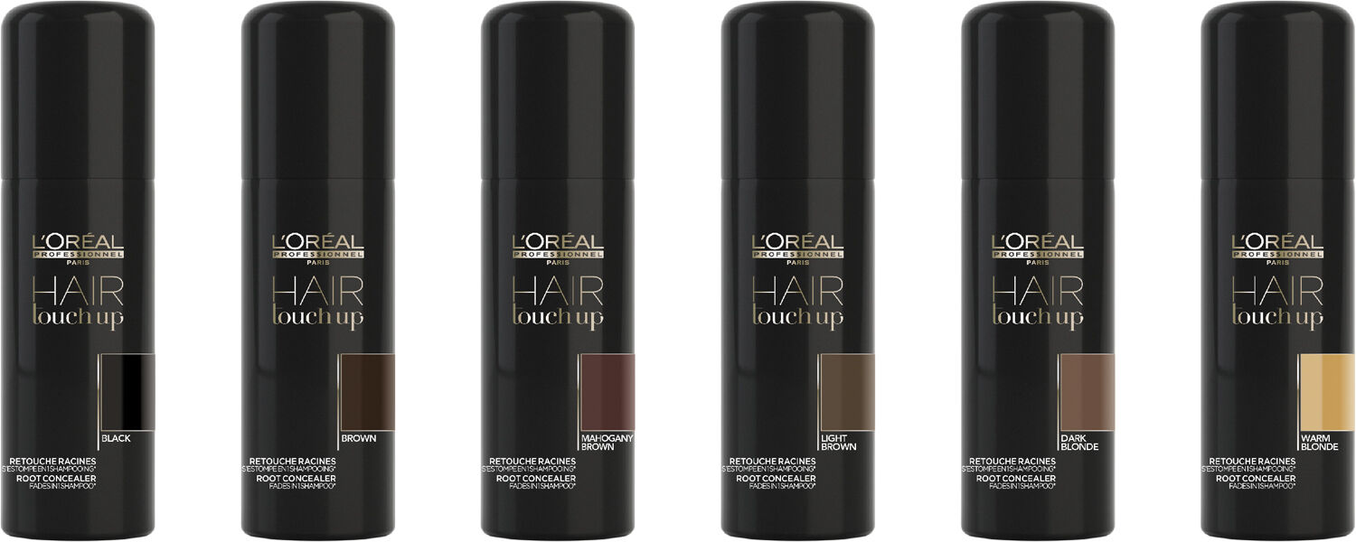 L'Or&eacute;al Professionnel Hair Touch Up Light Brown