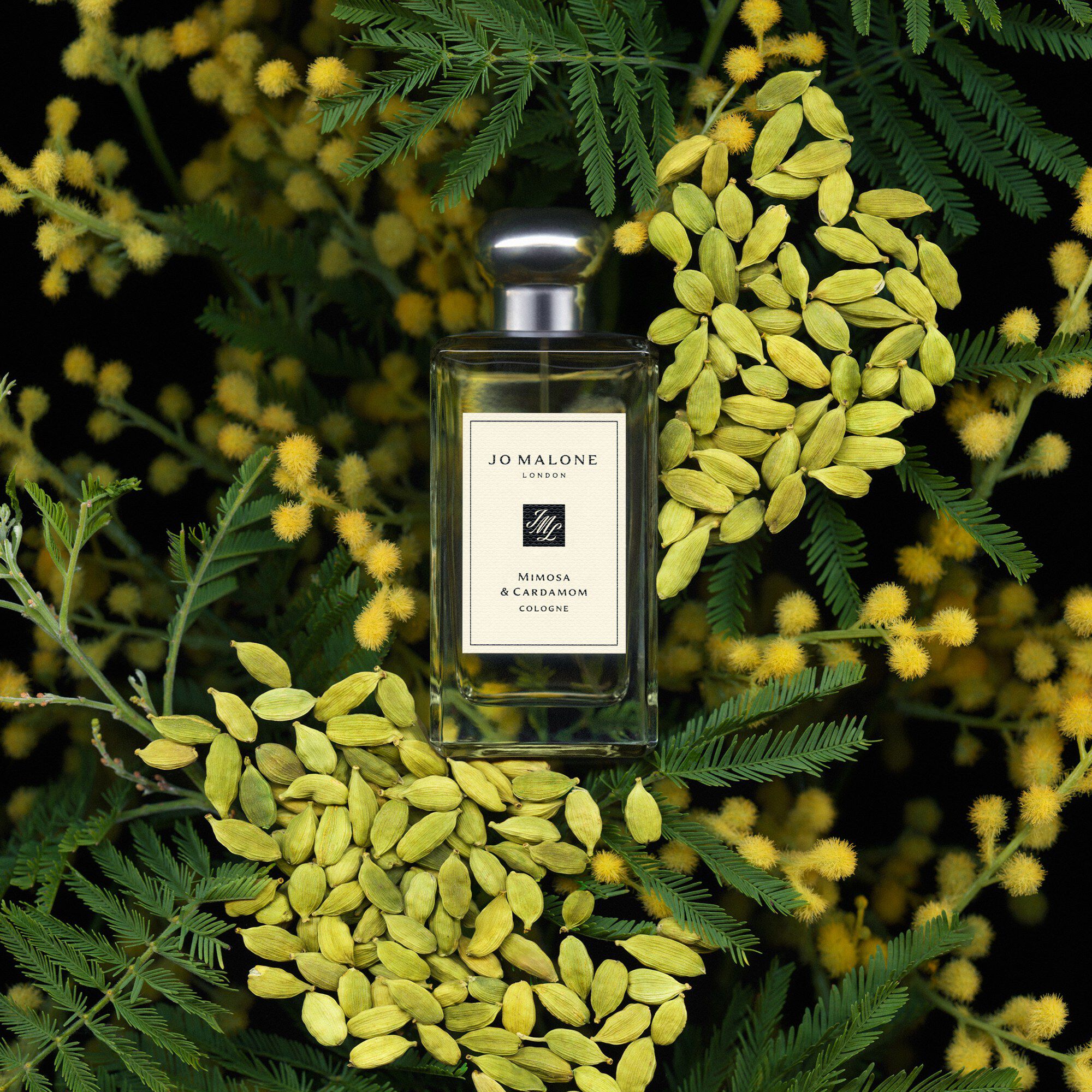 Mimosa & Cardamom Cologne