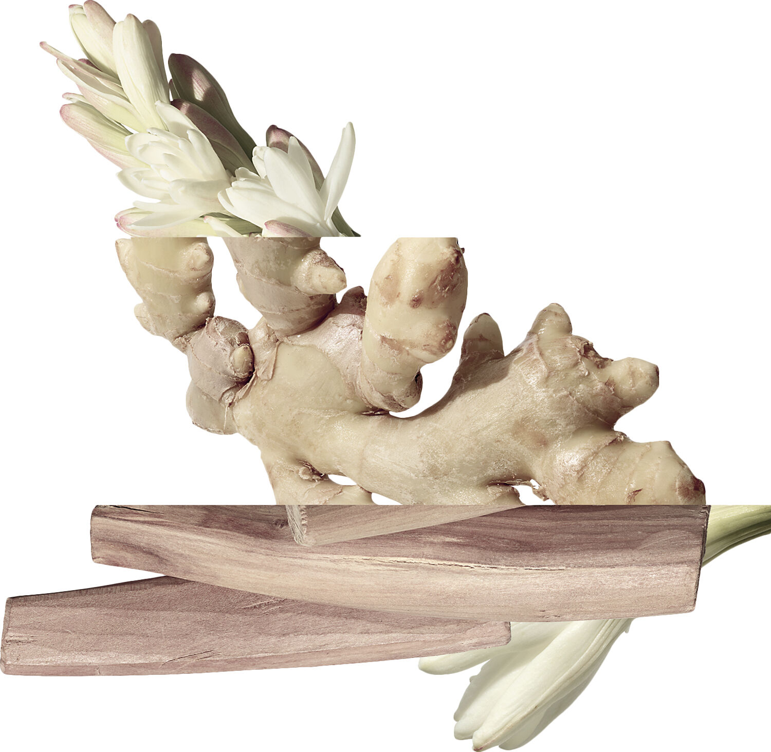 Twilly d'Herm&egrave;s, Eau de parfum